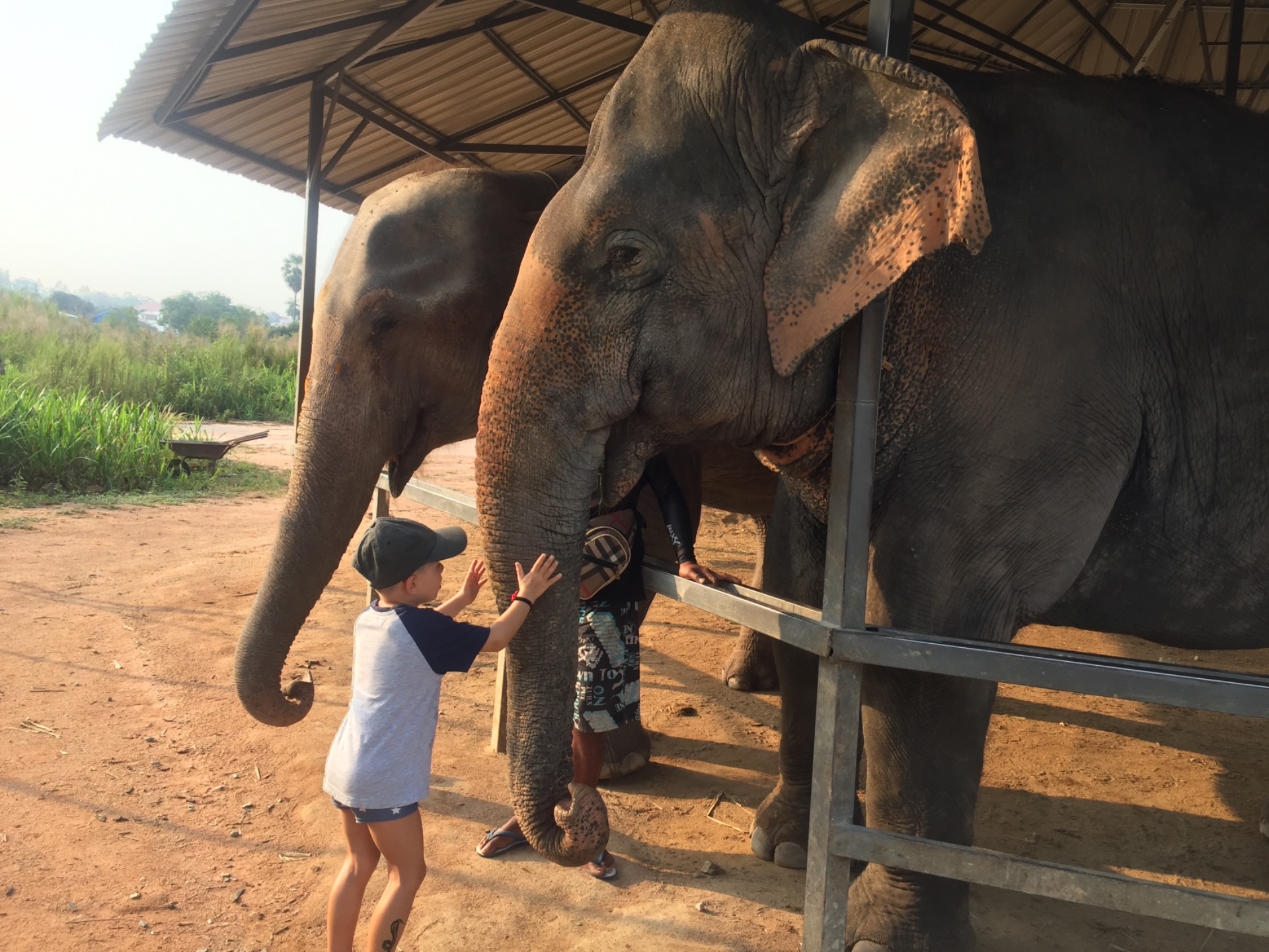 Thailande (sanctuaire des éléphants)
